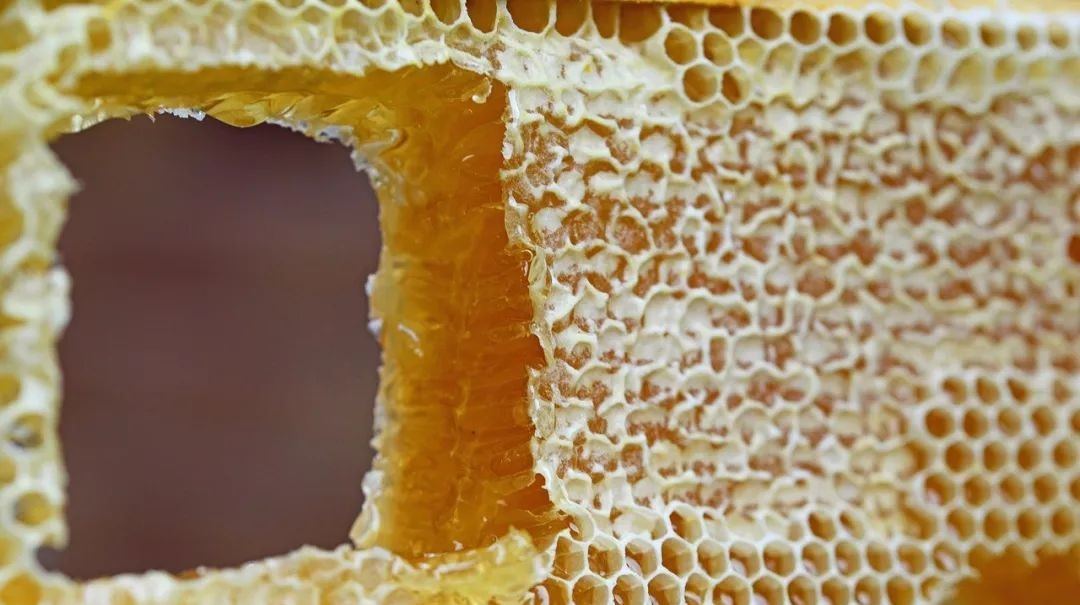 蜂蜜怎样祛斑 养蜜蜂 牛奶蜂蜜可以一起喝吗 牛奶加蜂蜜 自制蜂蜜柚子茶