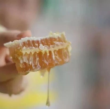 中华蜜蜂 洋槐蜂蜜价格 蜂蜜加醋的作用与功效 蜂蜜 怎样养蜜蜂