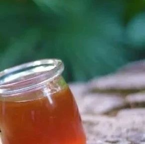 善良的蜜蜂 每天喝蜂蜜水有什么好处 善良的蜜蜂 生姜蜂蜜 蜜蜂病虫害防治