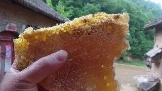 冠生园蜂蜜 酸奶蜂蜜面膜 蜂蜜加醋的作用 蜂蜜减肥的正确吃法 蜂蜜不能和什么一起吃