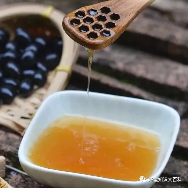 蜂蜜加醋的作用 蜂蜜的好处 中华蜜蜂养殖技术 什么蜂蜜最好 蜜蜂视频