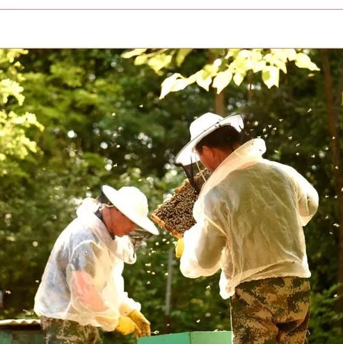 养蜜蜂工具 蜜蜂养殖技术 牛奶加蜂蜜的功效 养蜜蜂 每天喝蜂蜜水有什么好处