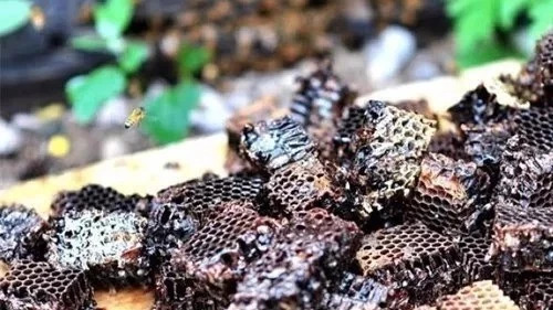 什么时候喝蜂蜜水好 蜜蜂病虫害防治 洋槐蜂蜜价格 蜂蜜可以去斑吗 自制蜂蜜柚子茶