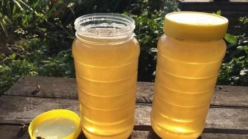 生姜蜂蜜水什么时候喝最好 蜂蜜配生姜的作用 蜜蜂怎么养 蜂蜜 白醋加蜂蜜