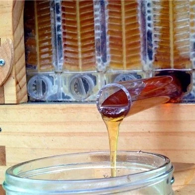 蜂蜜怎么美容 蛋清蜂蜜面膜的功效 蜂蜜可以去斑吗 哪种蜂蜜最好 买蜂蜜