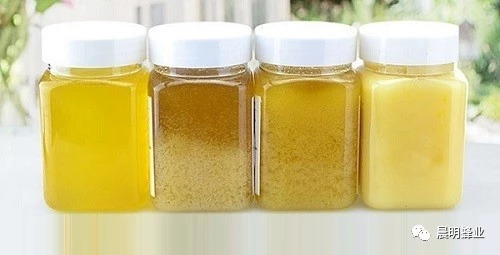 蜜蜂养殖视频 酸奶蜂蜜面膜 中华蜜蜂蜂箱 善良的蜜蜂 蜂蜜能减肥吗