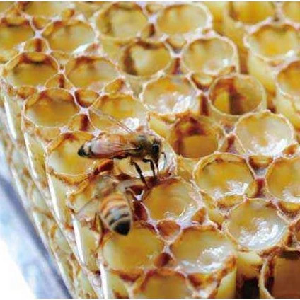 生姜蜂蜜水什么时候喝最好 蜂蜜治咽炎 蜂蜜柠檬水的功效 生姜蜂蜜祛斑 冠生园蜂蜜价格