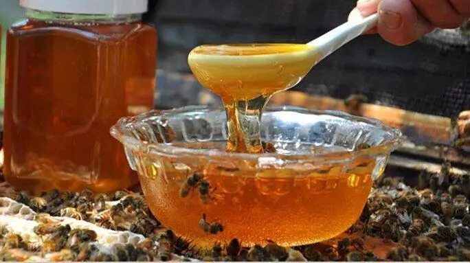 蜂蜜加醋的作用 每天喝蜂蜜水有什么好处 冠生园蜂蜜价格 牛奶加蜂蜜的功效 哪种蜂蜜最好