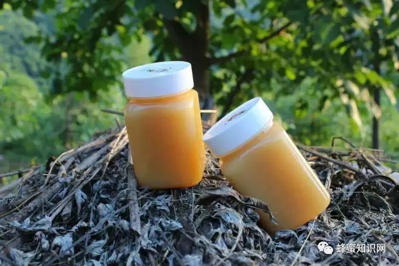 蜜蜂养殖技术 蜂蜜祛斑方法 蛋清蜂蜜面膜的功效 冠生园蜂蜜价格 怎样养蜜蜂