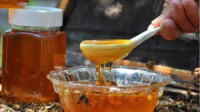 自制蜂蜜面膜 蜂蜜怎么喝 生姜蜂蜜水减肥 蚂蚁与蜜蜂漫画全集 牛奶蜂蜜可以一起喝吗