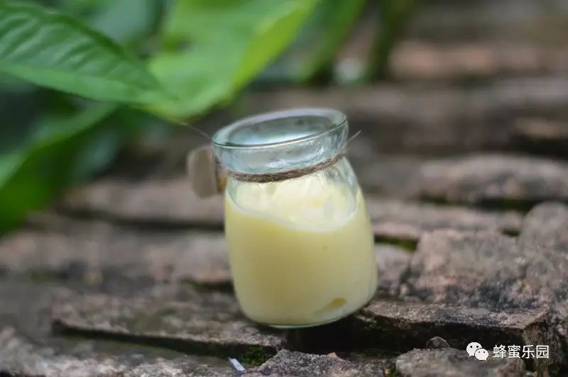 蜂蜜水减肥法 牛奶加蜂蜜的功效 什么蜂蜜最好 自制蜂蜜柚子茶 白醋加蜂蜜