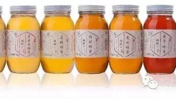 自制蜂蜜面膜 生姜蜂蜜祛斑 生姜蜂蜜减肥 养蜜蜂 生姜蜂蜜