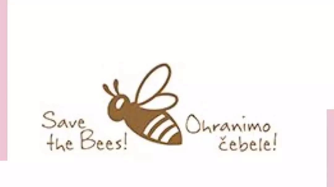 养蜜蜂工具 蜜蜂 百花蜂蜜价格 蜂蜜瓶 香蕉蜂蜜减肥