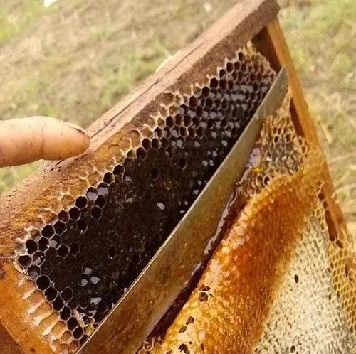 蜂蜜怎样做面膜 生姜蜂蜜水 野生蜂蜜价格 牛奶加蜂蜜 汪氏蜂蜜怎么样