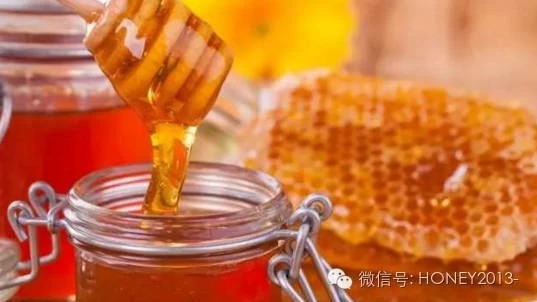 蜂蜜加醋的作用 土蜂蜜的价格 蜂蜜怎么美容 蜜蜂养殖技术视频全集 蜂蜜小面包