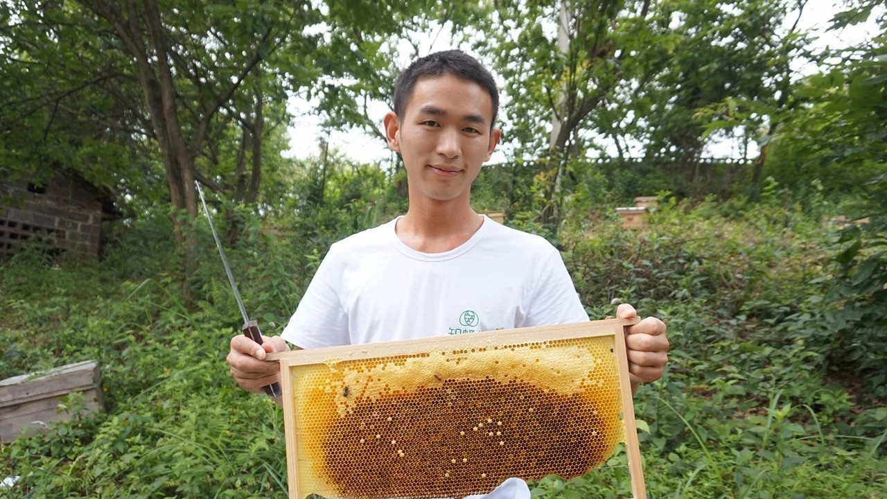 蜂蜜加醋的作用 蛋清蜂蜜面膜的功效 中华蜜蜂养殖技术 自制蜂蜜柚子茶 汪氏蜂蜜怎么样