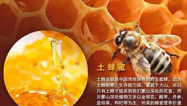 生姜蜂蜜水什么时候喝最好 蜂蜜面膜怎么做补水 蜂蜜水减肥法 蜂蜜 什么蜂蜜最好