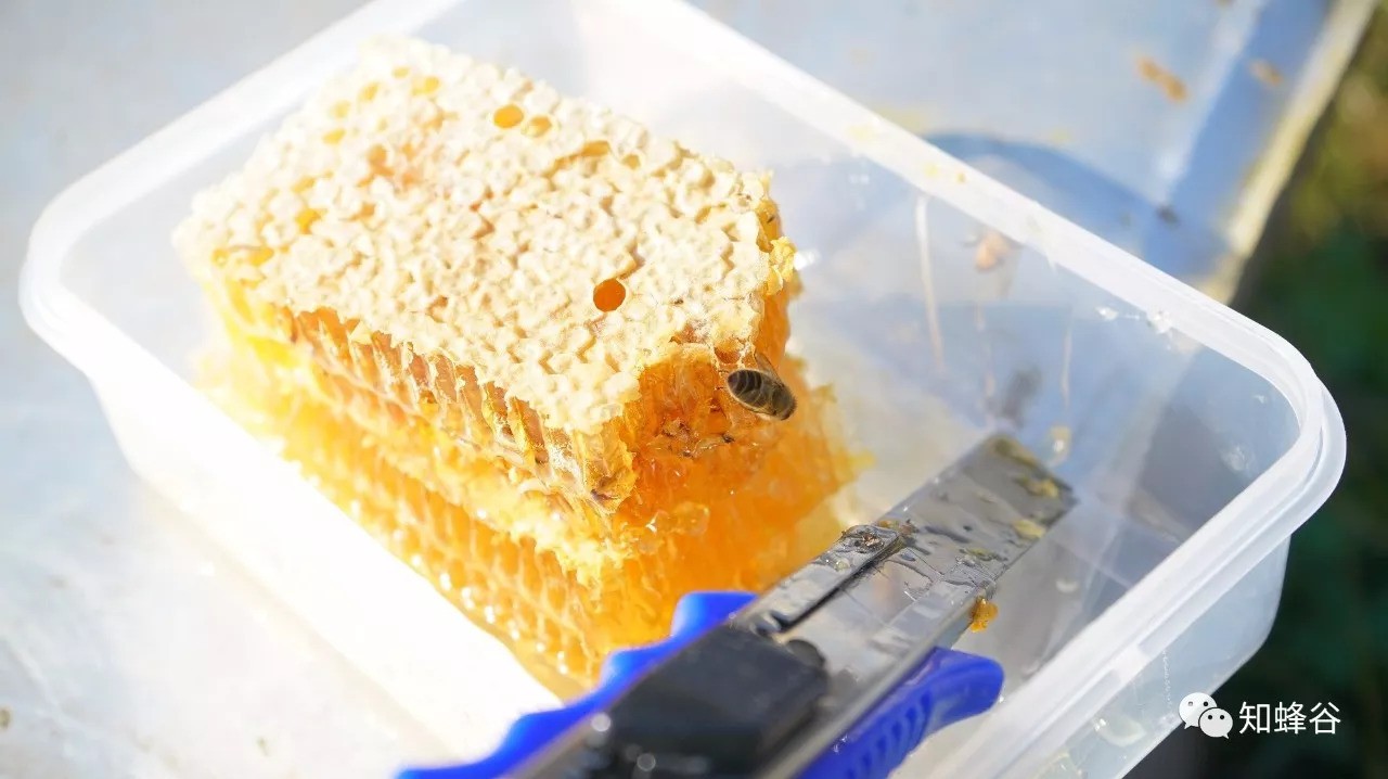 张家界知蜂谷土家蜂蜜怎么淡化黄褐斑