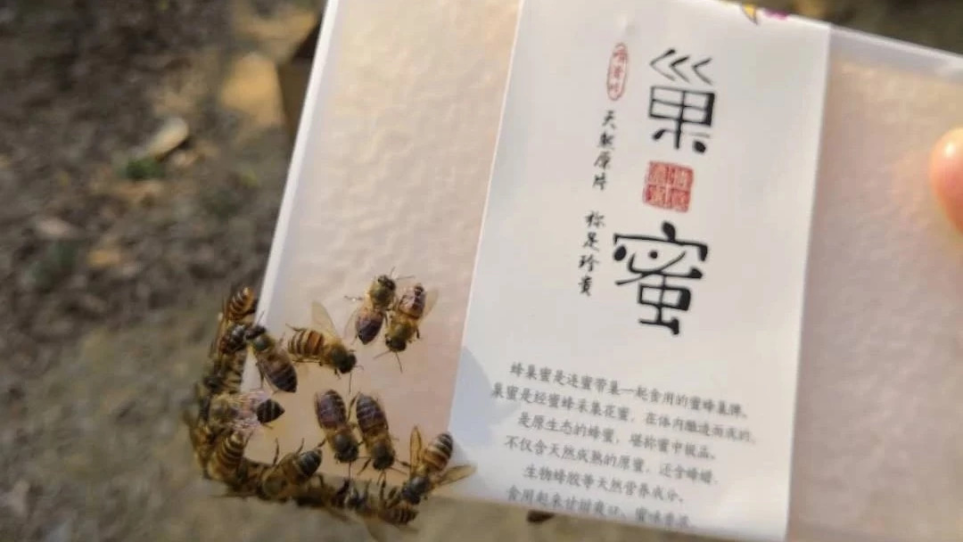 哪种蜂蜜最好 百花蜂蜜价格 买蜂蜜 蜜蜂养殖技术 养蜜蜂的技巧