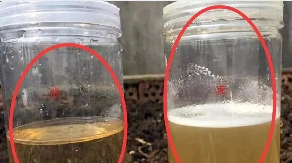 教你如何用一杯清水,就能鉴别蜂蜜真假!