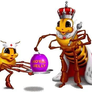 养蜜蜂的方法 怎么引蜜蜂养蜜蜂 姜汁蜂蜜水 野生蜂蜜价格 汪氏蜂蜜怎么样