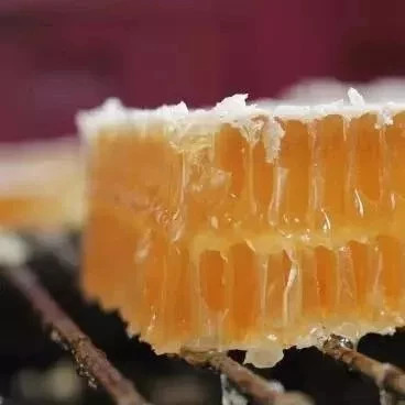 蜜蜂图片 生姜蜂蜜水 蜂蜜加醋的作用 哪种蜂蜜最好 养蜜蜂的技巧