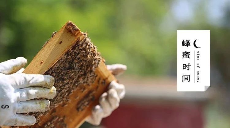 自制蜂蜜面膜 蜂蜜怎样做面膜 蜂蜜白醋水 冠生园蜂蜜价格 蜂蜜水果茶