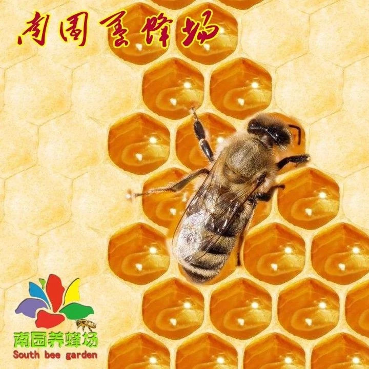 蜂蜜什么时候喝好 冠生园蜂蜜价格 蜂蜜加醋的作用 蜂蜜什么时候喝好 蜂蜜瓶