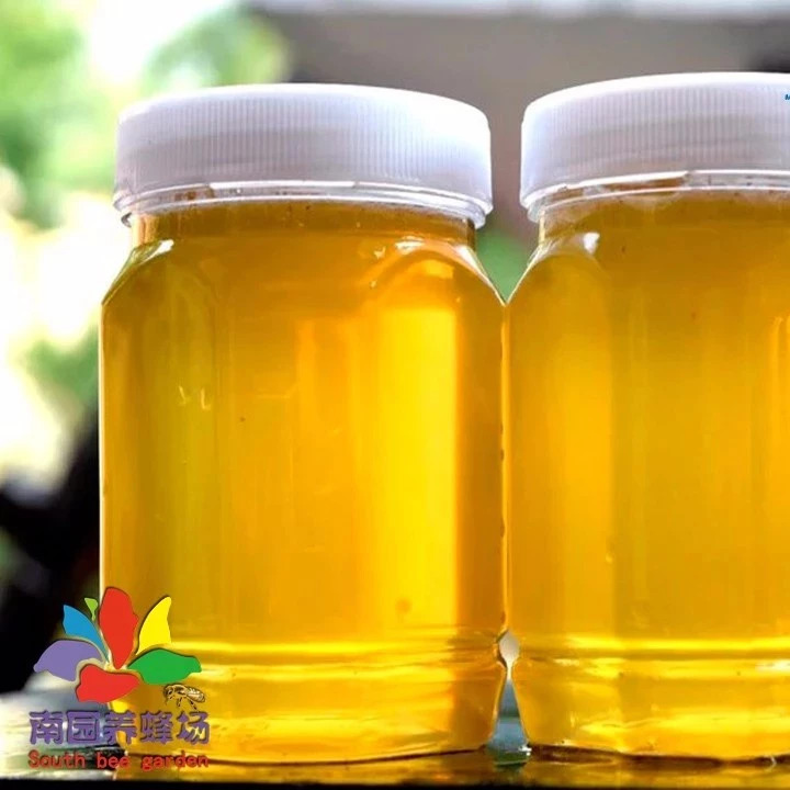 蜂蜜配生姜的作用 如何养蜂蜜 蜜蜂网 蜂蜜怎么吃 喝蜂蜜水的最佳时间