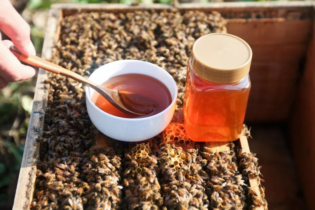 蜂蜜面膜怎么做补水 纯天然蜂蜜 蜂蜜的作用与功效禁忌 蜂蜜的价格 自制蜂蜜柚子茶