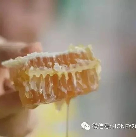 蜂蜜生姜茶 如何养蜂蜜 蜂蜜水怎么喝 牛奶加蜂蜜的功效 蜂蜜的价格