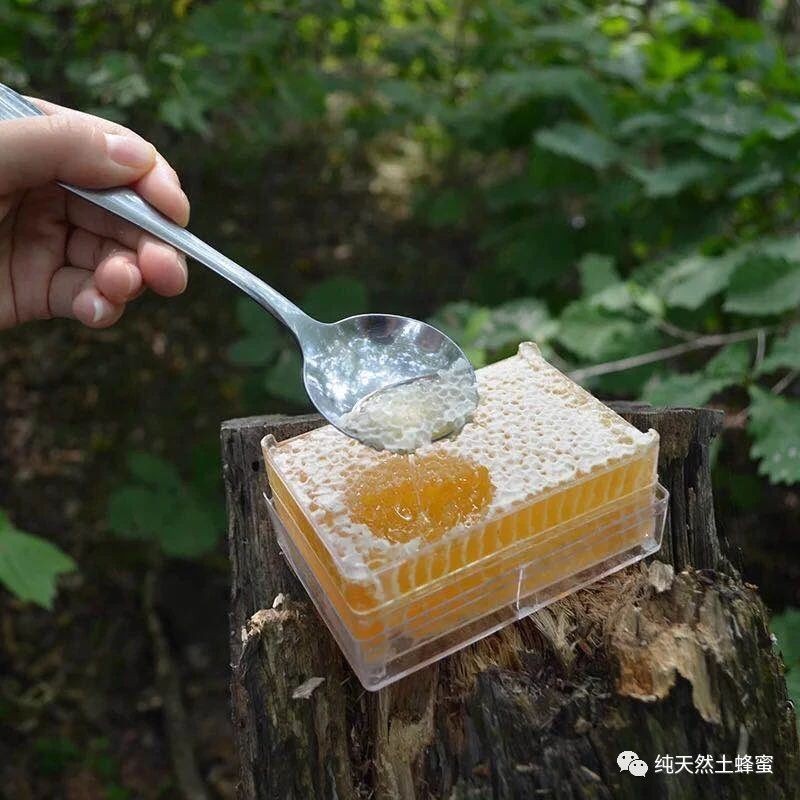 神奇！一盒可以嚼着吃的网红蜂巢蜜，抢鲜价：¥75