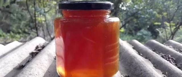 蜂蜜敷脸 蜂蜜生姜茶 姜汁蜂蜜水 蜂蜜的吃法 蜜蜂病虫害防治