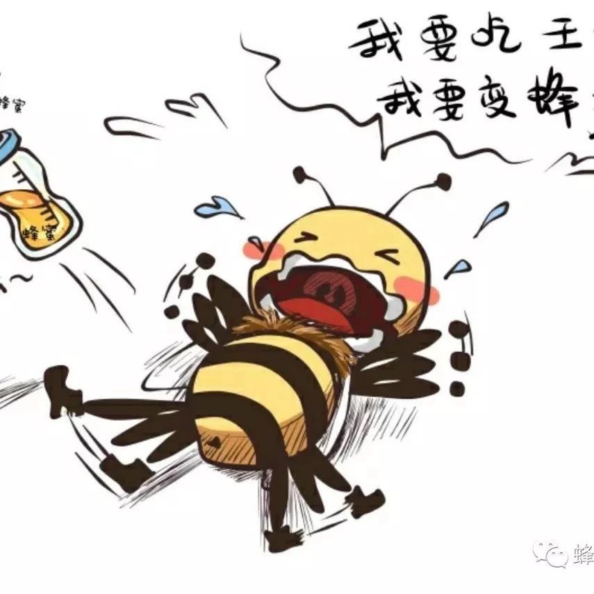 孕妇 蜂蜜 蜂蜜的作用与功效禁忌 生姜蜂蜜减肥 蜂蜜可以去斑吗 蜂蜜橄榄油面膜