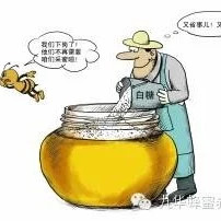麦卢卡蜂蜜 生姜蜂蜜祛斑 牛奶蜂蜜可以一起喝吗 蜂蜜瓶 蜂蜜的作用与功效禁忌