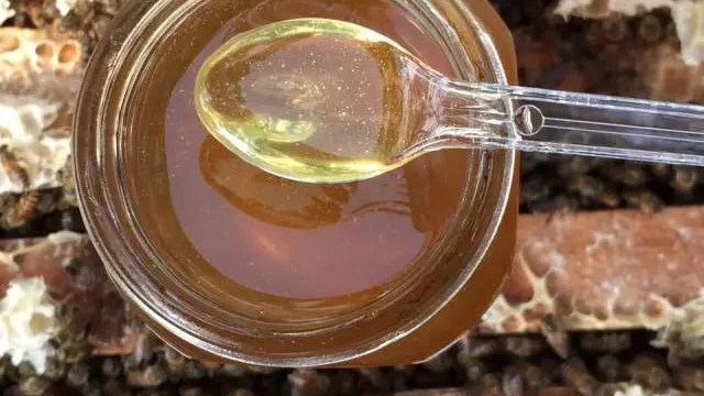 生姜蜂蜜水什么时候喝最好 蜂蜜怎样做面膜 冠生园蜂蜜 蜂蜜怎么美容 蜂蜜的好处