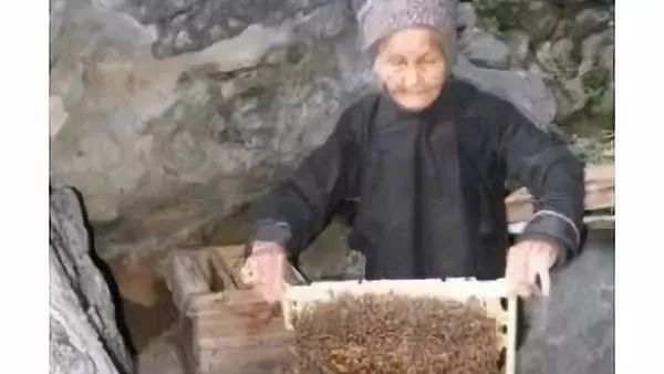 为什么养蜂人能健康长寿呢？