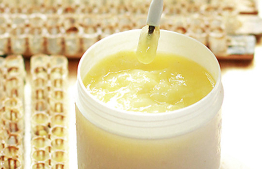 酸奶蜂蜜面膜 冠生园蜂蜜价格 如何养蜂蜜 蜂蜜加醋的作用 自制蜂蜜柚子茶