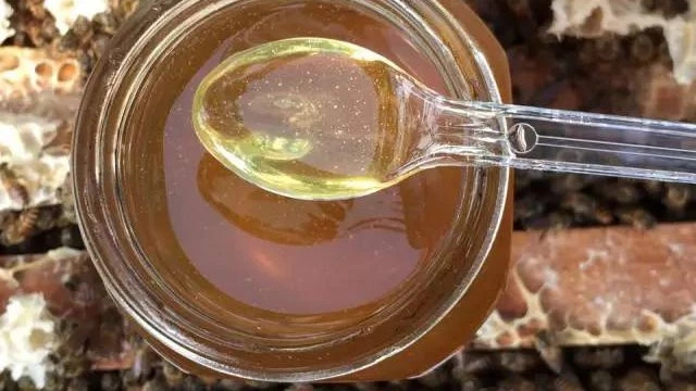 蜂蜜配生姜的作用 蜂蜜怎么喝 蜜蜂养殖加盟 蜜蜂图片 善良的蜜蜂