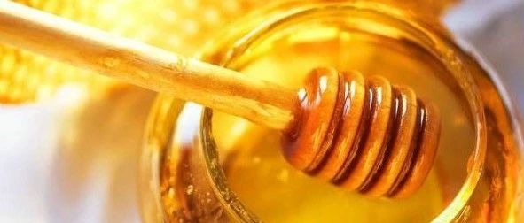 蜂蜜水果茶 中华蜜蜂 蜜蜂养殖 生姜蜂蜜 蜂蜜水果茶