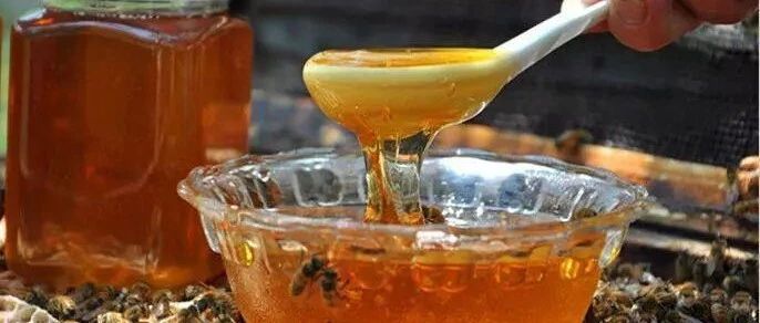 蜜蜂怎么养 早上喝蜂蜜水有什么好处 什么蜂蜜好 蜂蜜可以去斑吗 蜂蜜什么时候喝好