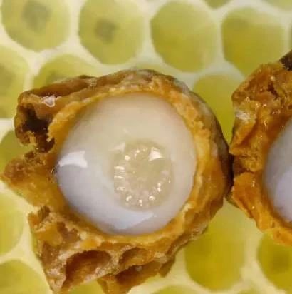 蜜蜂图片 喝蜂蜜水会胖吗 牛奶蜂蜜可以一起喝吗 蜂蜜去痘印 蜂蜜能减肥吗
