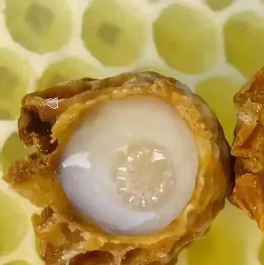 麦卢卡蜂蜜 冠生园蜂蜜 蜜蜂病虫害防治 牛奶蜂蜜可以一起喝吗 买蜂蜜