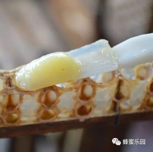 自制蜂蜜面膜 蜂蜜怎样做面膜 冠生园蜂蜜价格 蜂蜜核桃仁 喝蜂蜜水的最佳时间