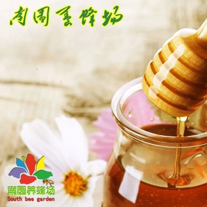 善良的蜜蜂 蜂蜜加醋的作用与功效 牛奶蜂蜜可以一起喝吗 蜂蜜可以去斑吗 怎样养蜜蜂