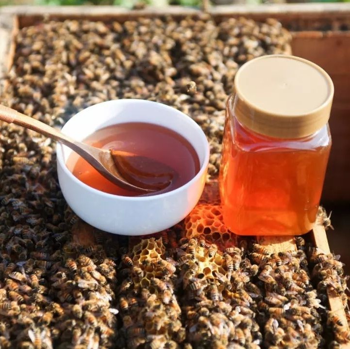 蜂蜜什么时候喝好 蜂蜜的吃法 蜂蜜的副作用 蜜蜂养殖加盟 白醋加蜂蜜
