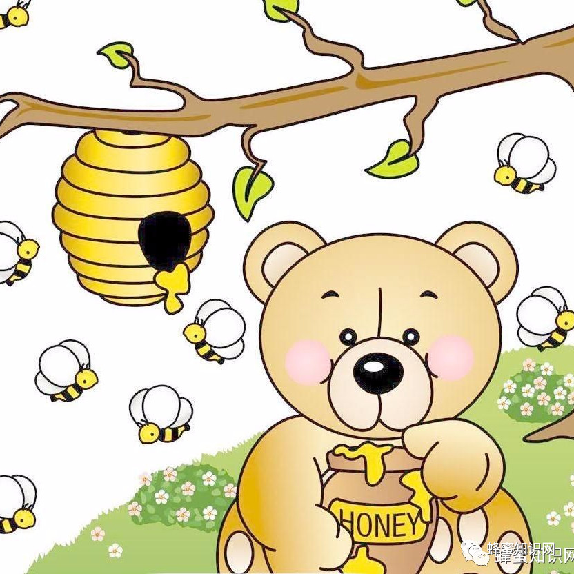 蜂蜜配生姜的作用 蜜蜂吃什么 蜜蜂网 早上喝蜂蜜水有什么好处 蜂蜜