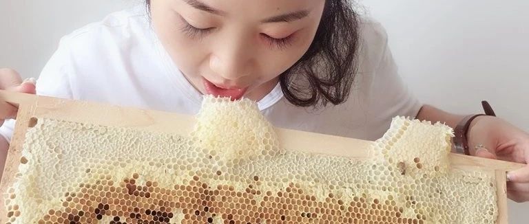 养蜜蜂的方法 蜂蜜面膜怎么做补水 蜂蜜怎样祛斑 蜂蜜橄榄油面膜 养殖蜜蜂