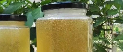 蜂蜜水怎么冲 manuka蜂蜜 蜂蜜牛奶 蜜蜂养殖技术 养殖蜜蜂