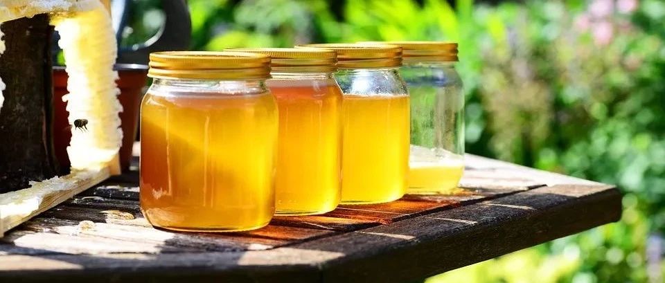 蜂蜜水减肥法 养蜜蜂 自制蜂蜜柚子茶 冠生园蜂蜜价格 蜂蜜能减肥吗